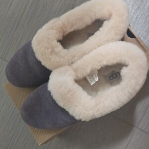 UGG Cozy Gray and Cream Slippers
